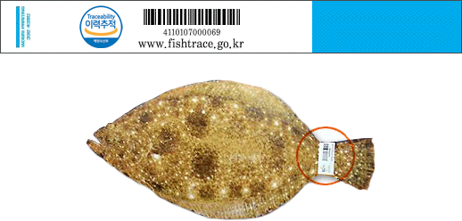 Traceability 이력추척 해양 수산부 (바코드 이미지) 4110107000069 www.fishtrace.go.kr
